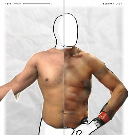 Torso Comparison