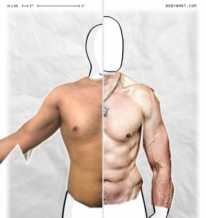 Torso Comparison