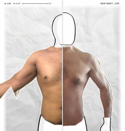 Torso Comparison