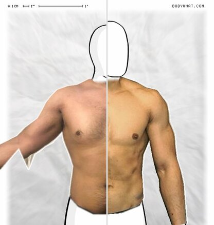 Torso Comparison