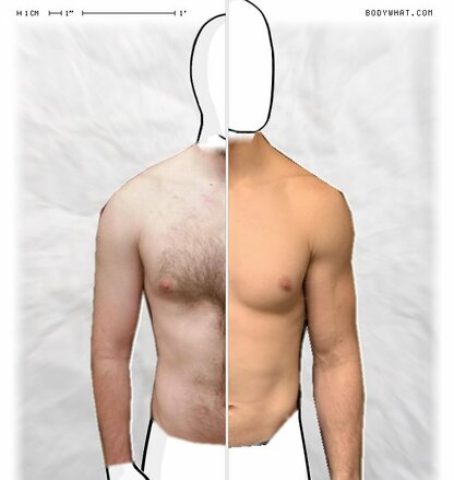 Torso Comparison