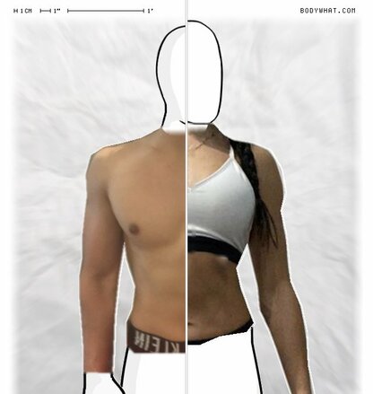 Torso Comparison