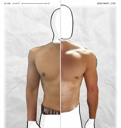 Torso Comparison