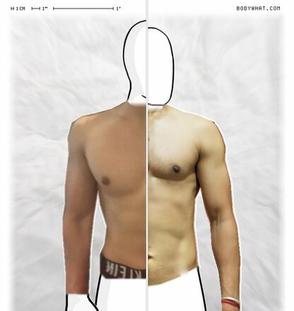 Torso Comparison