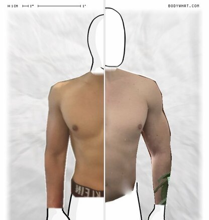 Torso Comparison