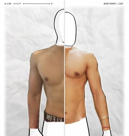 Torso Comparison