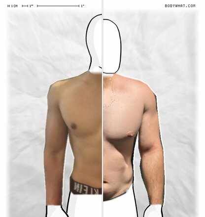 Torso Comparison