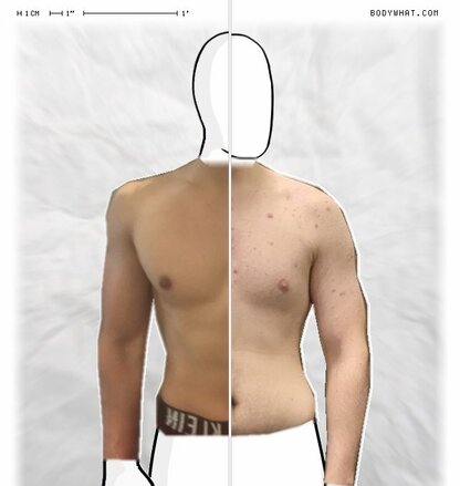 Torso Comparison