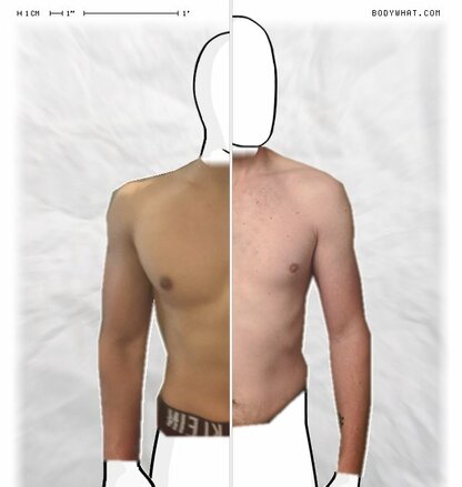 Torso Comparison