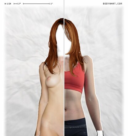 Torso Comparison