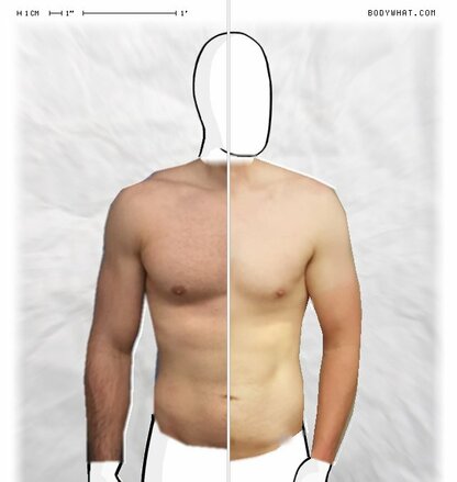 Torso Comparison