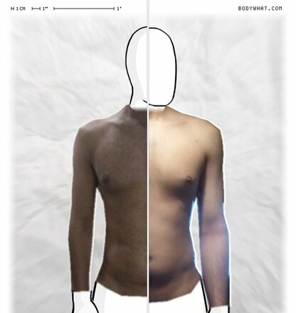 Torso Comparison