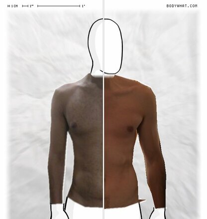 Torso Comparison