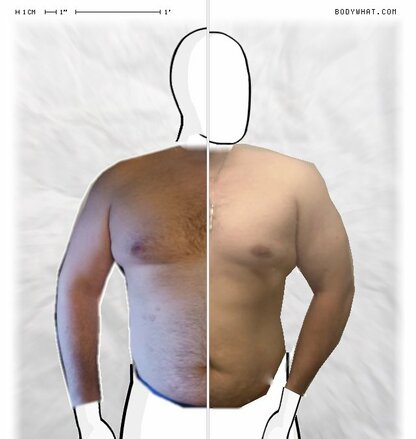 Torso Comparison