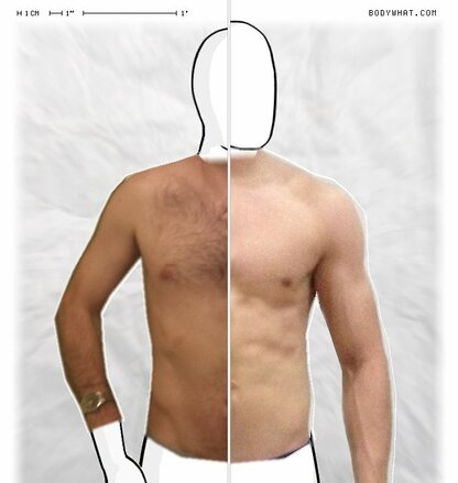 Torso Comparison