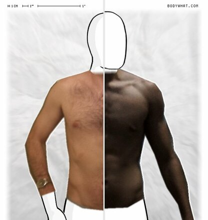 Torso Comparison