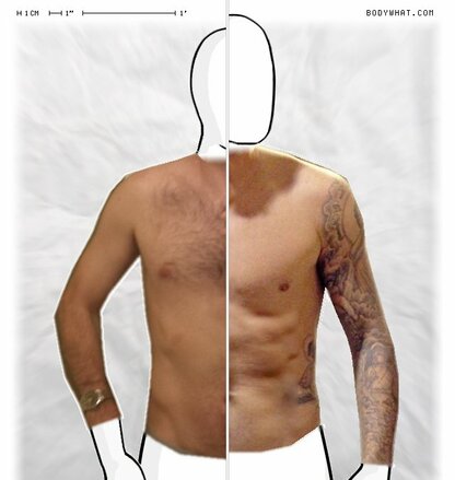Torso Comparison