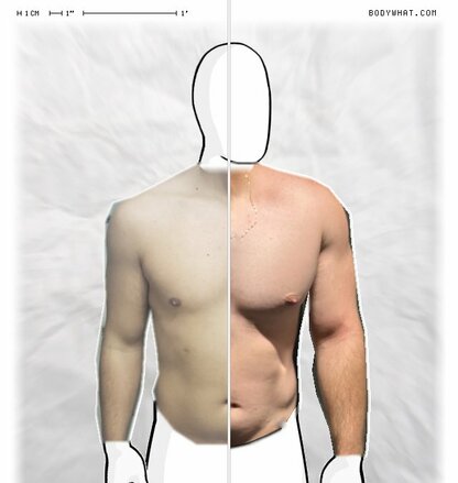 Torso Comparison