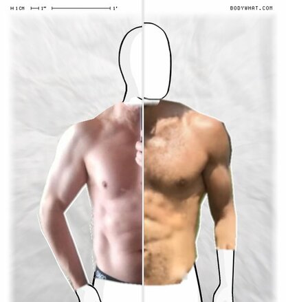 Torso Comparison