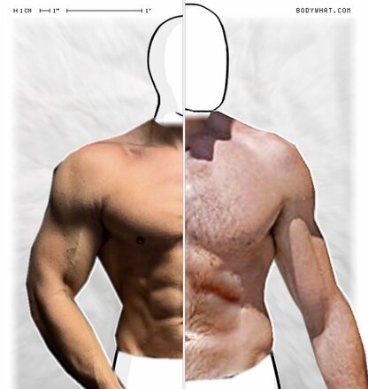 Torso Comparison