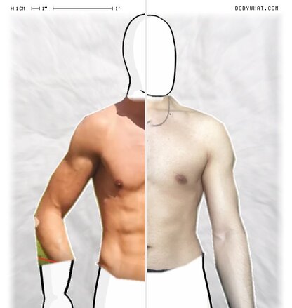 Torso Comparison