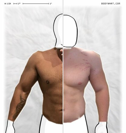 Torso Comparison