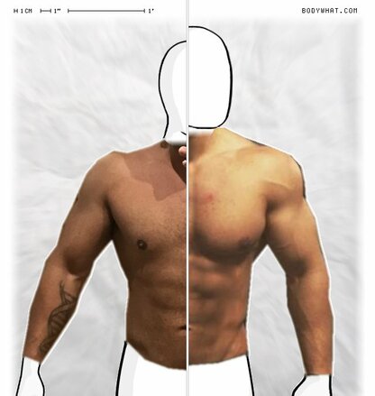 Torso Comparison