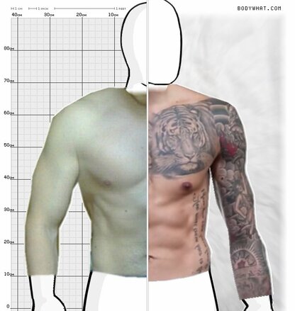 Torso Comparison