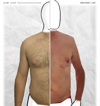Torso Comparison