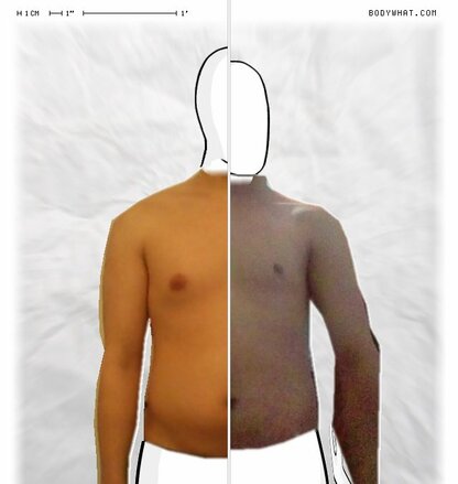 Torso Comparison