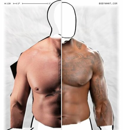 Torso Comparison