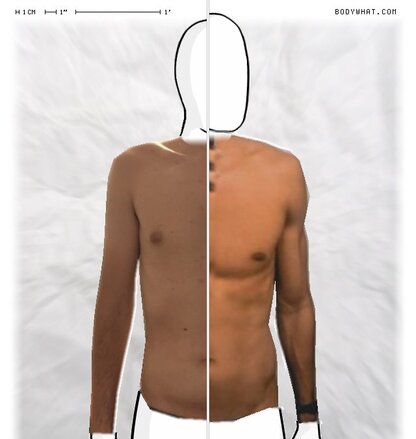 Torso Comparison
