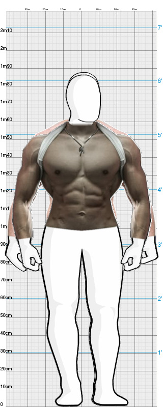 Full Size Comparison