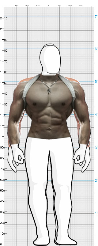 Full Size Comparison