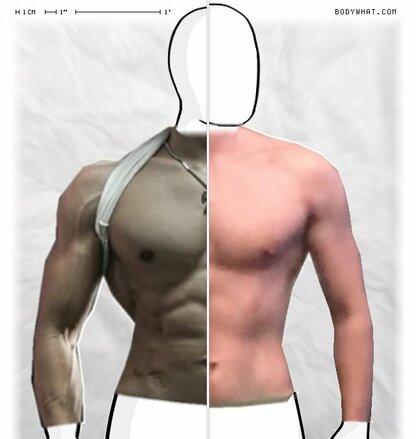 Torso Comparison