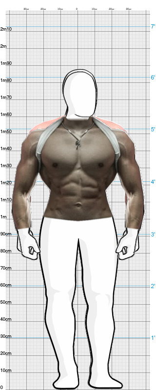 Full Size Comparison