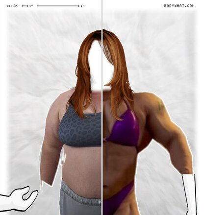 Torso Comparison