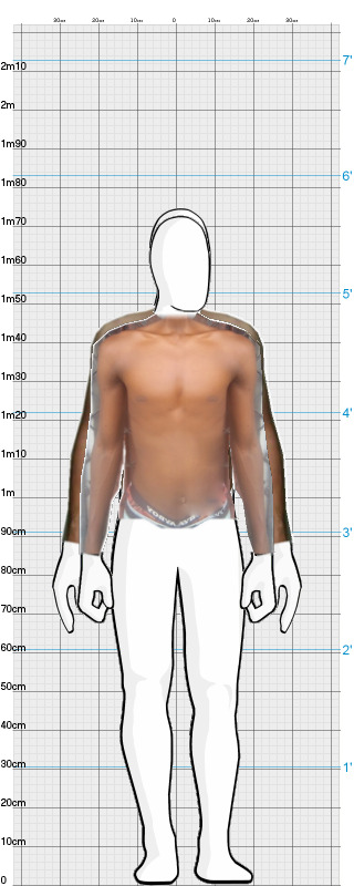 Full Size Comparison