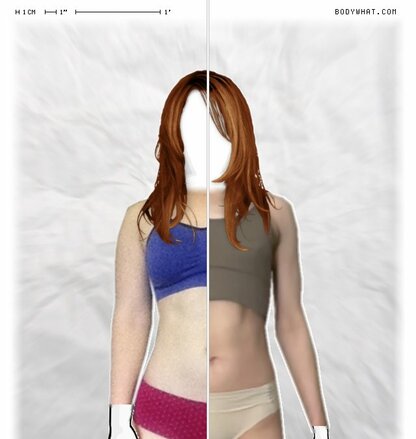 Torso Comparison