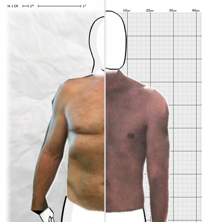 Torso Comparison