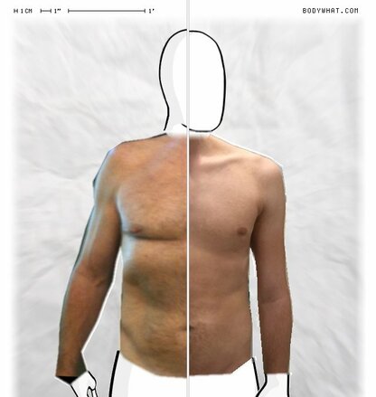 Torso Comparison