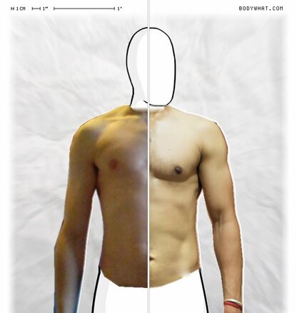 Torso Comparison