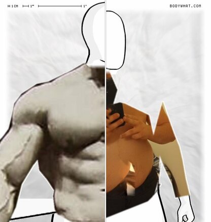 Torso Comparison