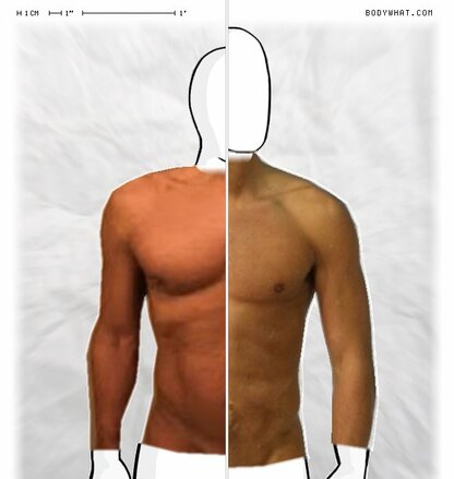 Torso Comparison