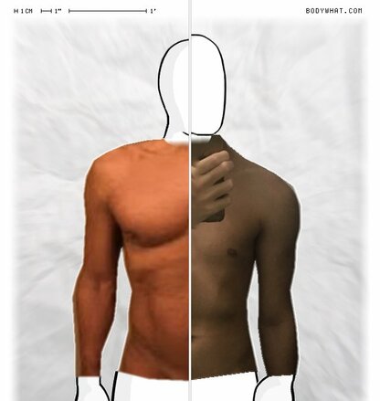 Torso Comparison