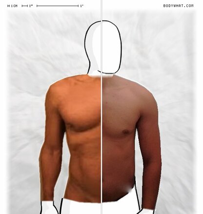 Torso Comparison