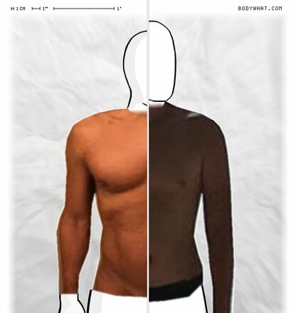 Torso Comparison