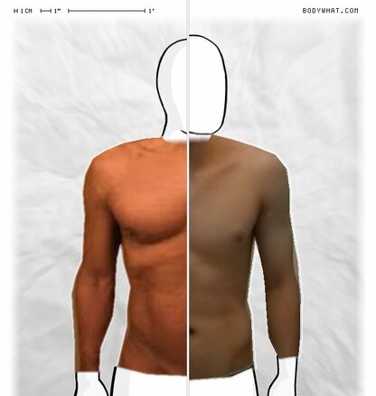 Torso Comparison