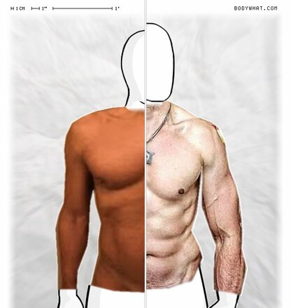 Torso Comparison