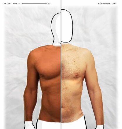 Torso Comparison